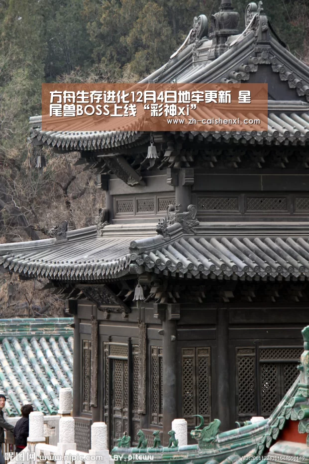 彩神xi