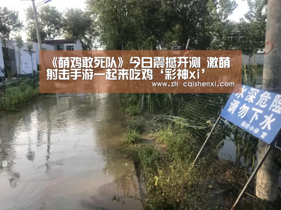 彩神xi
