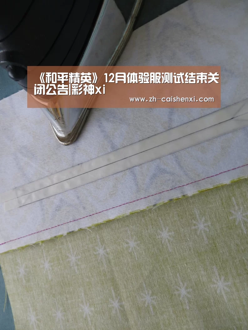 《和平精英》12月体验服测试结束关闭公告|彩神xi(图1) 彩神xi